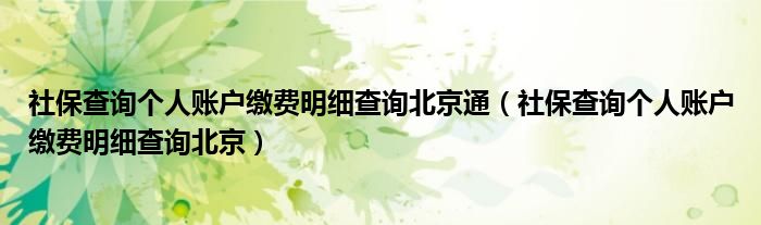 社保查询个人账户缴费明细查询北京通（社保查询个人账户缴费明细查询北京）