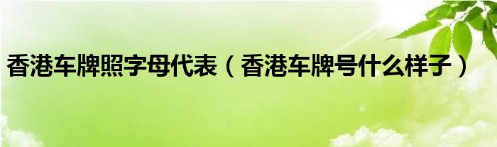 香港车牌照字母代表（香港车牌号什么样子）