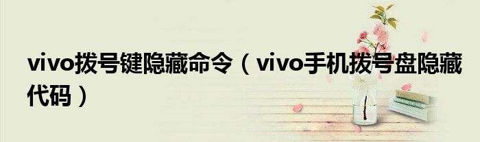 vivo拨号键隐藏命令（vivo手机拨号盘隐藏代码）