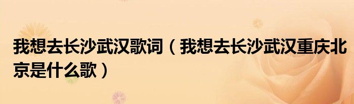 我想去长沙武汉歌词（我想去长沙武汉重庆北京是什么歌）