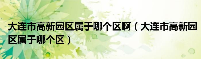 大连市高新园区属于哪个区啊（大连市高新园区属于哪个区）