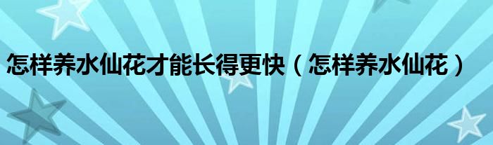 怎样养水仙花才能长得更快（怎样养水仙花）