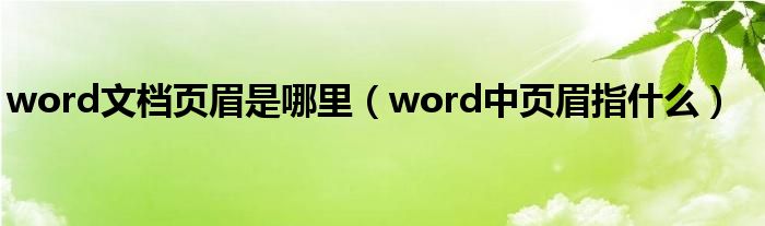 word文档页眉是哪里（word中页眉指什么）