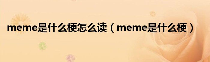 meme是什么梗怎么读（meme是什么梗）