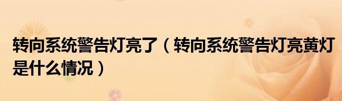 转向系统警告灯亮了（转向系统警告灯亮黄灯是什么情况）