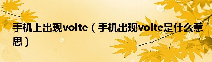 手机上出现volte（手机出现volte是什么意思）