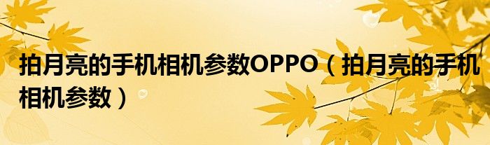 拍月亮的手机相机参数OPPO（拍月亮的手机相机参数）