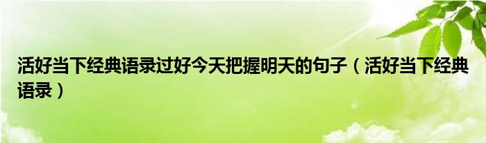 活好当下经典语录过好今天把握明天的句子（活好当下经典语录）