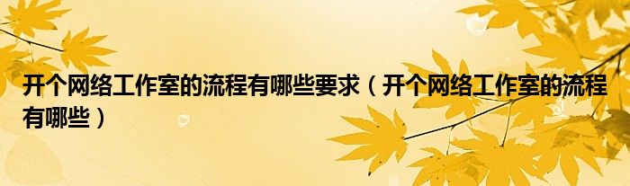 开个网络工作室的流程有哪些要求（开个网络工作室的流程有哪些）