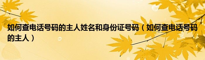 如何查电话号码的主人姓名和身份证号码（如何查电话号码的主人）