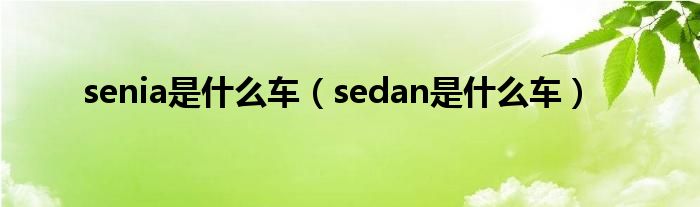 senia是什么车（sedan是什么车）