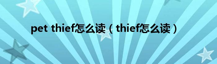 pet thief怎么读（thief怎么读）