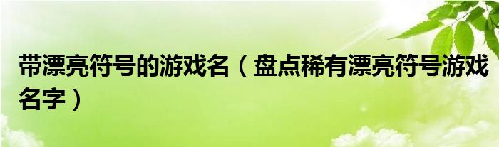 带漂亮符号的游戏名（盘点稀有漂亮符号游戏名字）