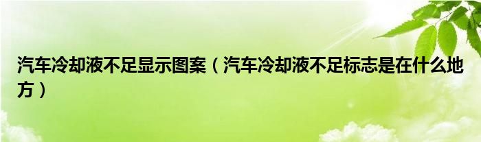 汽车冷却液不足显示图案（汽车冷却液不足标志是在什么地方）