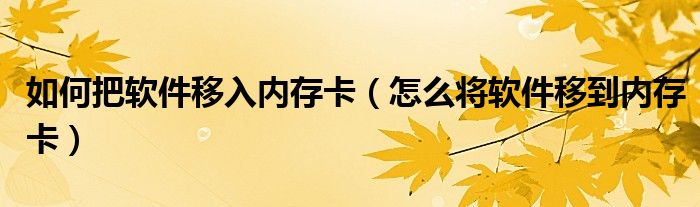 如何把软件移入内存卡（怎么将软件移到内存卡）