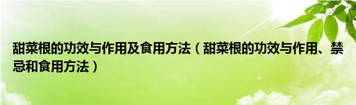 甜菜根的功效与作用及食用方法（甜菜根的功效与作用、禁忌和食用方法）