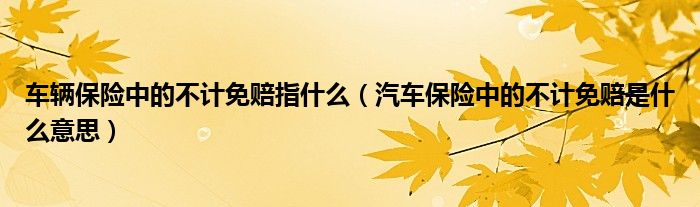 车辆保险中的不计免赔指什么（汽车保险中的不计免赔是什么意思）