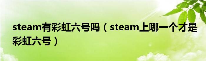 steam有彩虹六号吗（steam上哪一个才是彩虹六号）