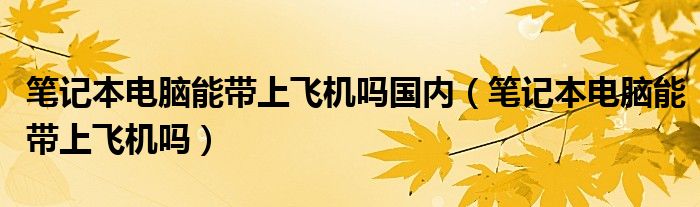 笔记本电脑能带上飞机吗国内（笔记本电脑能带上飞机吗）