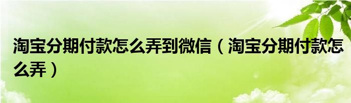 淘宝分期付款怎么弄到微信（淘宝分期付款怎么弄）