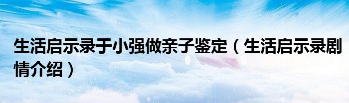 生活启示录于小强做亲子鉴定（生活启示录剧情介绍）