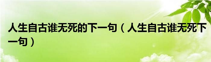 人生自古谁无死的下一句（人生自古谁无死下一句）