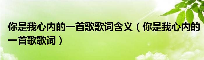 你是我心内的一首歌歌词含义（你是我心内的一首歌歌词）