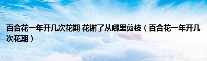 百合花一年开几次花期 花谢了从哪里剪枝（百合花一年开几次花期）