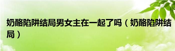 奶酪陷阱结局男女主在一起了吗（奶酪陷阱结局）