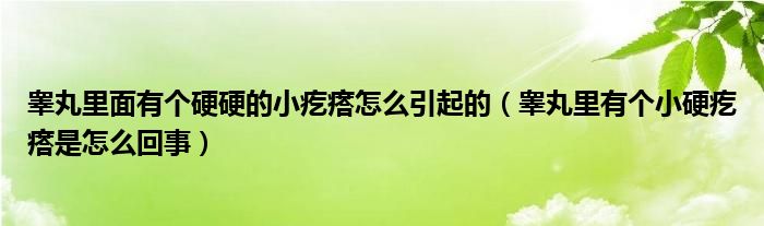 睾丸里面有个硬硬的小疙瘩怎么引起的（睾丸里有个小硬疙瘩是怎么回事）