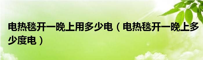 电热毯开一晚上用多少电（电热毯开一晚上多少度电）