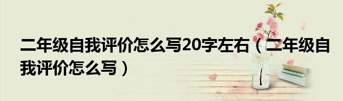 二年级自我评价怎么写20字左右（二年级自我评价怎么写）