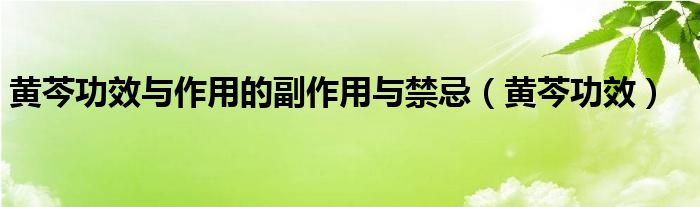 黄芩功效与作用的副作用与禁忌（黄芩功效）