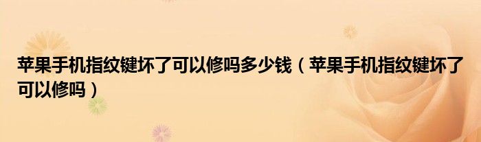 苹果手机指纹键坏了可以修吗多少钱（苹果手机指纹键坏了可以修吗）