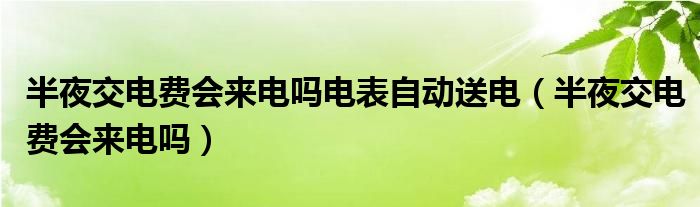 半夜交电费会来电吗电表自动送电（半夜交电费会来电吗）