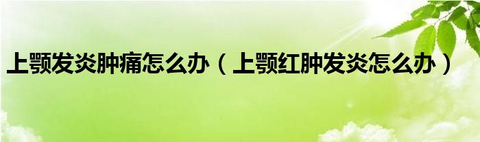 上颚发炎肿痛怎么办（上颚红肿发炎怎么办）