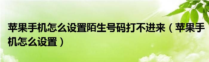 苹果手机怎么设置陌生号码打不进来（苹果手机怎么设置）