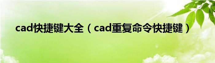 cad快捷键大全（cad重复命令快捷键）