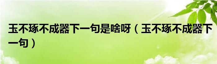 玉不琢不成器下一句是啥呀（玉不琢不成器下一句）