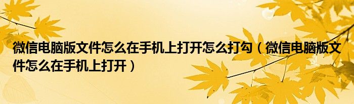 微信电脑版文件怎么在手机上打开怎么打勾（微信电脑版文件怎么在手机上打开）