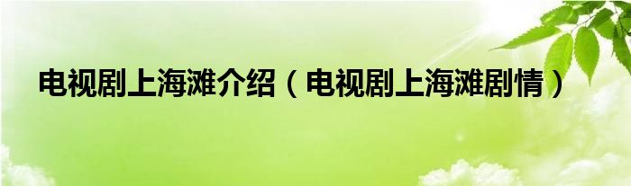 电视剧上海滩介绍（电视剧上海滩剧情）