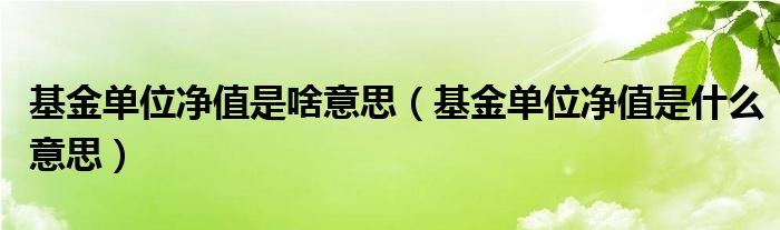 基金单位净值是啥意思（基金单位净值是什么意思）