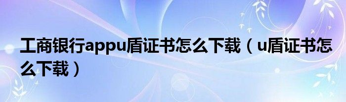 工商银行appu盾证书怎么下载（u盾证书怎么下载）