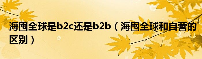 海囤全球是b2c还是b2b（海囤全球和自营的区别）