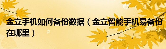 金立手机如何备份数据（金立智能手机易备份在哪里）