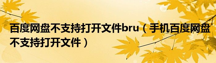 百度网盘不支持打开文件bru（手机百度网盘不支持打开文件）