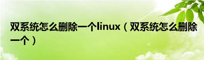 双系统怎么删除一个linux（双系统怎么删除一个）