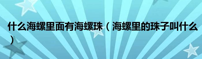 什么海螺里面有海螺珠（海螺里的珠子叫什么）