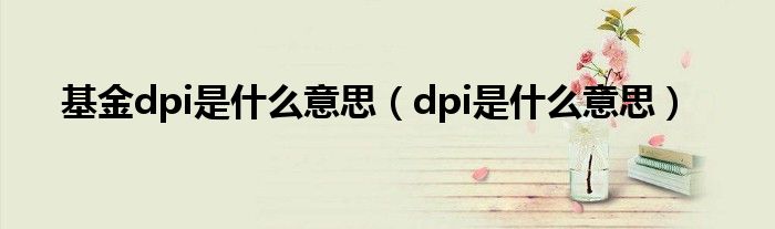 基金dpi是什么意思（dpi是什么意思）