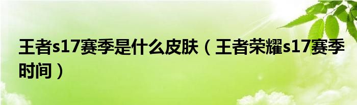 王者s17赛季是什么皮肤（王者荣耀s17赛季时间）